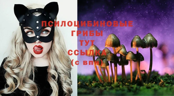2c-b Вяземский