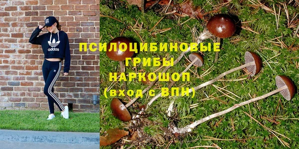 а пвп мука Вязьма