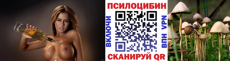 маркетплейс клад  Тула  Галлюциногенные грибы мухоморы 